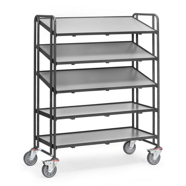 Plattformwagen 300 kg mit 5 Holzplatten 1240x610 anthrazit